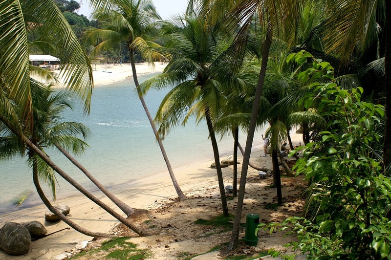 Tropical Hideaways